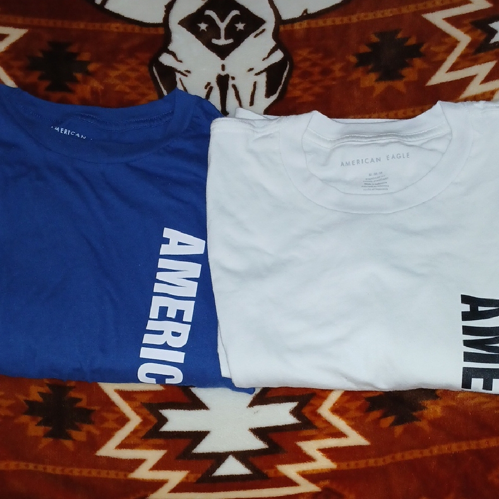 American Eagle Outfitters Men's Short Sleeve Tees - Blue and White